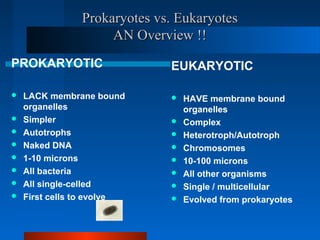 PPrrookkaarryyootteess vvss.. EEuukkaarryyootteess 
AANN OOvveerrvviieeww !!!! 
PROKARYOTIC 
 LACK membrane bound 
organelles 
 Simpler 
 Autotrophs 
 Naked DNA 
 1-10 microns 
 All bacteria 
 All single-celled 
 First cells to evolve 
EUKARYOTIC 
 HAVE membrane bound 
organelles 
 Complex 
 Heterotroph/Autotroph 
 Chromosomes 
 10-100 microns 
 All other organisms 
 Single / multicellular 
 Evolved from prokaryotes 
 