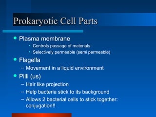 PPrrookkaarryyoottiicc CCeellll PPaarrttss 
Plasma membrane 
• Controls passage of materials 
• Selectively permeable (semi permeable) 
Flagella 
– Movement in a liquid environment 
Pilli (us) 
– Hair like projection 
– Help bacteria stick to its background 
– Allows 2 bacterial cells to stick together: 
conjugation!! 
 