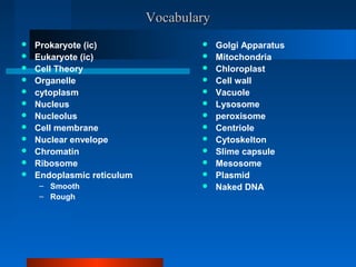 VVooccaabbuullaarryy 
 Prokaryote (ic) 
 Eukaryote (ic) 
 Cell Theory 
 Organelle 
 cytoplasm 
 Nucleus 
 Nucleolus 
 Cell membrane 
 Nuclear envelope 
 Chromatin 
 Ribosome 
 Endoplasmic reticulum 
– Smooth 
– Rough 
 Golgi Apparatus 
 Mitochondria 
 Chloroplast 
 Cell wall 
 Vacuole 
 Lysosome 
 peroxisome 
 Centriole 
 Cytoskelton 
 Slime capsule 
 Mesosome 
 Plasmid 
 Naked DNA 
 