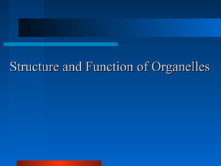 SSttrruuccttuurree aanndd FFuunnccttiioonn ooff OOrrggaanneelllleess 
 