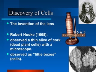 DDiissccoovveerryy ooff CCeellllss 
The invention of the lens 
Robert Hooke (1665): 
observed a thin slice of cork 
(dead plant cells) with a 
microscope. 
observed as “little boxes” 
(cells). 
 