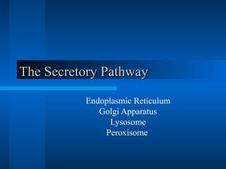 TThhee SSeeccrreettoorryy PPaatthhwwaayy 
Endoplasmic Reticulum 
Golgi Apparatus 
Lysosome 
Peroxisome 
 