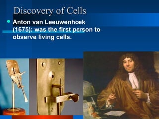 DDiissccoovveerryy ooff CCeellllss 
Anton van Leeuwenhoek 
(1675): was the first person to 
observe living cells. 
 