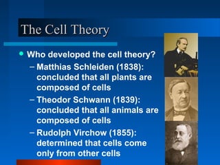 TThhee CCeellll TThheeoorryy 
Who developed the cell theory? 
– Matthias Schleiden (1838): 
concluded that all plants are 
composed of cells 
– Theodor Schwann (1839): 
concluded that all animals are 
composed of cells 
– Rudolph Virchow (1855): 
determined that cells come 
only from other cells 
 