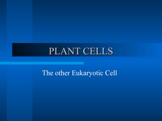 PPLLAANNTT CCEELLLLSS 
The other Eukaryotic Cell 
 