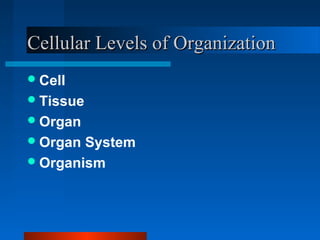 CCeelllluullaarr LLeevveellss ooff OOrrggaanniizzaattiioonn 
Cell 
Tissue 
Organ 
Organ System 
Organism 
 