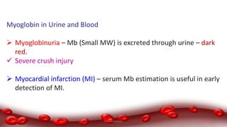 Myoglobin in Urine and Blood
 Myoglobinuria – Mb (Small MW) is excreted through urine – dark
red.
 Severe crush injury
 Myocardial infarction (MI) – serum Mb estimation is useful in early
detection of MI.
Dr.N.Sivaranjani
 