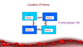 2
1
Heme
1
2
Heme
HemeHeme
Location of Heme
4 heme groups / Hb
Dr.N.Sivaranjani
 