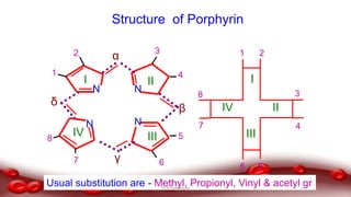 I II
IIIIV
α
β
γ
δ
N
N
N
N
I
II
III
IV
Structure of Porphyrin
1 2
3
4
56
7
8
1
2 3
4
5
67
8
Usual substitution are - Methyl, Propionyl, Vinyl & acetyl grDr.N.Sivaranjani
 