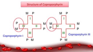 I
II
III
IV
M
M
M
M
P
P
P
P
I
II
III
IV
M
M
M
M
P
P
P
P
Structure of Coproporphyrin
Coproporphyrin I
Coproporphyrin III
Dr.N.Sivaranjani
 