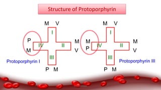 I
II
III
IV
M
M
M
M
V
V
P
P
I
II
III
IV
M
M
M
M
V
V
P
P
Structure of Protoporphyrin
Protoporphyrin I Protoporphyrin III
Dr.N.Sivaranjani
 