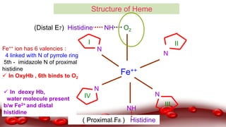 Fe++
N
N
N
N
NH
( Proximal F8 ) Histidine
NH(Distal E7) Histidine O2
I II
III
IV
Structure of Heme
Fe++ ion has 6 valencies :
4 linked with N of pyrrole ring
5th - imidazole N of proximal
histidine
 In OxyHb , 6th binds to O2
 In deoxy Hb,
water molecule present
b/w Fe2+ and distal
histidine
Dr.N.Sivaranjani
 