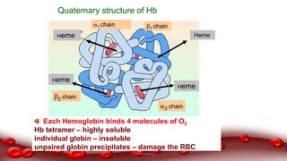 Each Hemoglobin binds 4 molecules of O2
Hb tetramer – highly soluble
individual globin – insoluble
unpaired globin precipitates – damage the RBC
1 chain
Quaternary structure of Hb
Heme
Heme
Heme
1 chain
2 chain
2 chain
Heme
Dr.N.Sivaranjani
 