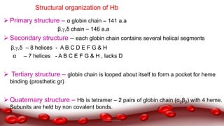 Structural organization of Hb
 Primary structure – α globin chain – 141 a.a
β,,δ chain – 146 a.a
 Secondary structure – each globin chain contains several helical segments
β,,δ – 8 helices - A B C D E F G & H
α – 7 helices - A B C E F G & H , lacks D
 Tertiary structure – globin chain is looped about itself to form a pocket for heme
binding (prosthetic gr)
 Quaternary structure – Hb is tetramer – 2 pairs of globin chain (α2β2) with 4 heme.
Subunits are held by non covalent bonds.
Dr.N.Sivaranjani
 