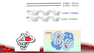 Heme
α chain - 141 a.a
β chain – 146 a.a
α chain - 7 helices
β chain – 8 helices
Dr.N.Sivaranjani
 