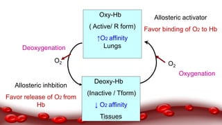 Deoxy-Hb
(Inactive / Tform)
↓ O2 affinity
Tissues
Oxy-Hb
( Active/ R form)
↑O2 affinity
Lungs
Allosteric inhbition
Favor release of O2 from
Hb
Allosteric activator
Favor binding of O2 to Hb
O2 O2
Oxygenation
Deoxygenation
Dr.N.Sivaranjani
 