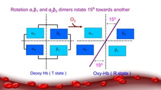 1 2
1
2
Oxy-Hb ( R state )
1 2
2 1
15º
15ºO2
Rotation α1β1 and α2β2 dimers rotate 15⁰ towards another
Deoxy Hb ( T state )
Dr.N.Sivaranjani
 
