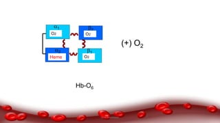 1 2
2
Heme
(+) O2
O2O2
O2
Hb-O6
1
Dr.N.Sivaranjani
 