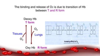 O2
Oxy Hb R form
LungsTissues
O2
The binding and release of O2 is due to transition of Hb
between T and R form
Deoxy Hb
T form
Dr.N.Sivaranjani
 