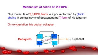 2
1
2
1
Deoxy-Hb BPG pocket
Mechanism of action of 2,3 BPG
One molecule of 2,3 BPG binds in a pocket formed by globin
chains in central cavity of deoxygenated T-form of Hb tetramer.
On oxygenation this pocket collapse.
Dr.N.Sivaranjani
 