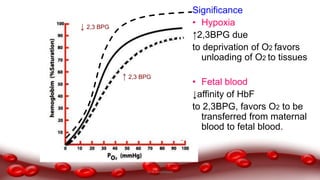 ↑ 2,3 BPG
↓ 2,3 BPG
Significance
• Hypoxia
↑2,3BPG due
to deprivation of O2 favors
unloading of O2 to tissues
• Fetal blood
↓affinity of HbF
to 2,3BPG, favors O2 to be
transferred from maternal
blood to fetal blood.
Dr.N.Sivaranjani
 