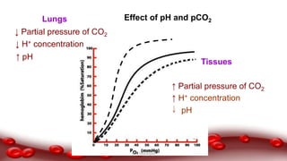 ↑ H+ concentration
↓ H+ concentration
↑ Partial pressure of CO2
↓ Partial pressure of CO2
Tissues
Effect of pH and pCO2
pH
↑ pH
Lungs
Dr.N.Sivaranjani
 