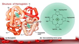 Structure of Hemoglobin
Dr.N.Sivaranjani
 