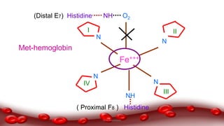 Fe+++
N
N
N
N
NH
( Proximal F8 ) Histidine
NH(Distal E7) Histidine O2
I II
III
IV
Met-hemoglobin
Dr.N.Sivaranjani
 