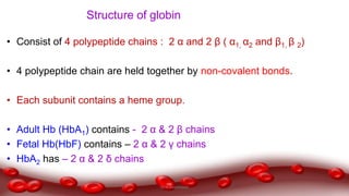 Structure of globin
• Consist of 4 polypeptide chains : 2 α and 2 β ( α1, α2 and β1, β 2)
• 4 polypeptide chain are held together by non-covalent bonds.
• Each subunit contains a heme group.
• Adult Hb (HbA1) contains - 2 α & 2 β chains
• Fetal Hb(HbF) contains – 2 α & 2 γ chains
• HbA2 has – 2 α & 2 δ chains
Dr.N.Sivaranjani
 