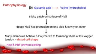 sticky patch on surface of HbS
deoxy HbS has protrusion on one side & cavity on other
Many molecules Adhere & Polymerize to form long fibers at low oxygen
tension – distort cell shape
Pathophysiology
Glutamic acid Valine (hydrophobic)β6
HbA & HbF prevent sickling
Dr.N.Sivaranjani
 