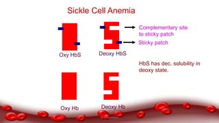Sickle Cell Anemia
Oxy HbS Deoxy HbS
Complementary site
to sticky patch
Sticky patch
Oxy Hb Deoxy Hb
HbS has dec. solubility in
deoxy state.
Dr.N.Sivaranjani
 