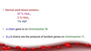 • Normal adult blood contains :
97 % HbA1,
2 % HbA2
1% HbF.
• α chain gene is on chromosome 16
• β,γ,δ chains are the products of tandem genes on chromosome 11.
Dr.N.Sivaranjani
 