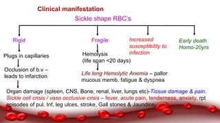Sickle shape RBC’s
Rigid
Plugs in capillaries
Occlusion of b.v –
leads to infarction
Organ damage (spleen, CNS, Bone, renal, liver, lungs etc)-Tissue damage & pain.
Sickle cell crisis / vaso occlusive crisis – fever, acute pain, tenderness, anxiety, rpt
episodes of pul. Inf, leg ulces, stroke, Gall stones & Jaundice
Fragile
Hemolysis
(life span <20 days)
Life long Hemolytic Anemia – pallor
mucous memb, fatigue & dyspnea
Increased
susceptibility to
infection
Early death
Homo-20yrs
Clinical manifestation
Dr.N.Sivaranjani
 