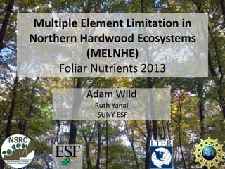 Multiple Element Limitation in
Northern Hardwood Ecosystems
(MELNHE)
Foliar Nutrients 2013
Adam Wild
Ruth Yanai
SUNY ESF
 