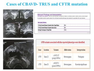 Cases of CBAVD- TRUS and CFTR mutation
 