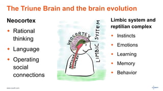 www.luxoft.com
The Triune Brain and the brain evolution
Neocortex
 Rational
thinking
 Language
 Operating
social
connections
Limbic system and
reptilian complex
 Instincts
 Emotions
 Learning
 Memory
 Behavior
 