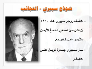 •‫فا‬‫ف‬ ‫فبير‬‫ف‬‫ي‬ ‫فر‬‫ف‬ ‫رو‬ ‫فر‬‫ف‬‫اكتش‬1960
‫فف‬‫ف‬‫م‬ ‫ا‬ ‫ففدما‬‫ف‬‫ال‬ ‫ي‬ ‫فف‬‫ف‬‫لص‬ ‫فف‬‫ف‬‫م‬ ‫ففن‬‫ف‬‫لك‬ ‫أن‬
‫به‬ ‫خاص‬ ‫من‬ ‫سر‬ ‫وا‬.
•‫لفففف‬ ‫بففففن‬ ‫ل‬ ‫زة‬ ‫ففففا‬ ‫يففففبير‬ ‫لففففاي‬
‫اكتشافه‬.
 