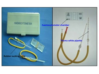 haemocytometer chamber
Thoma white pipette
Rubber sucking tube
 