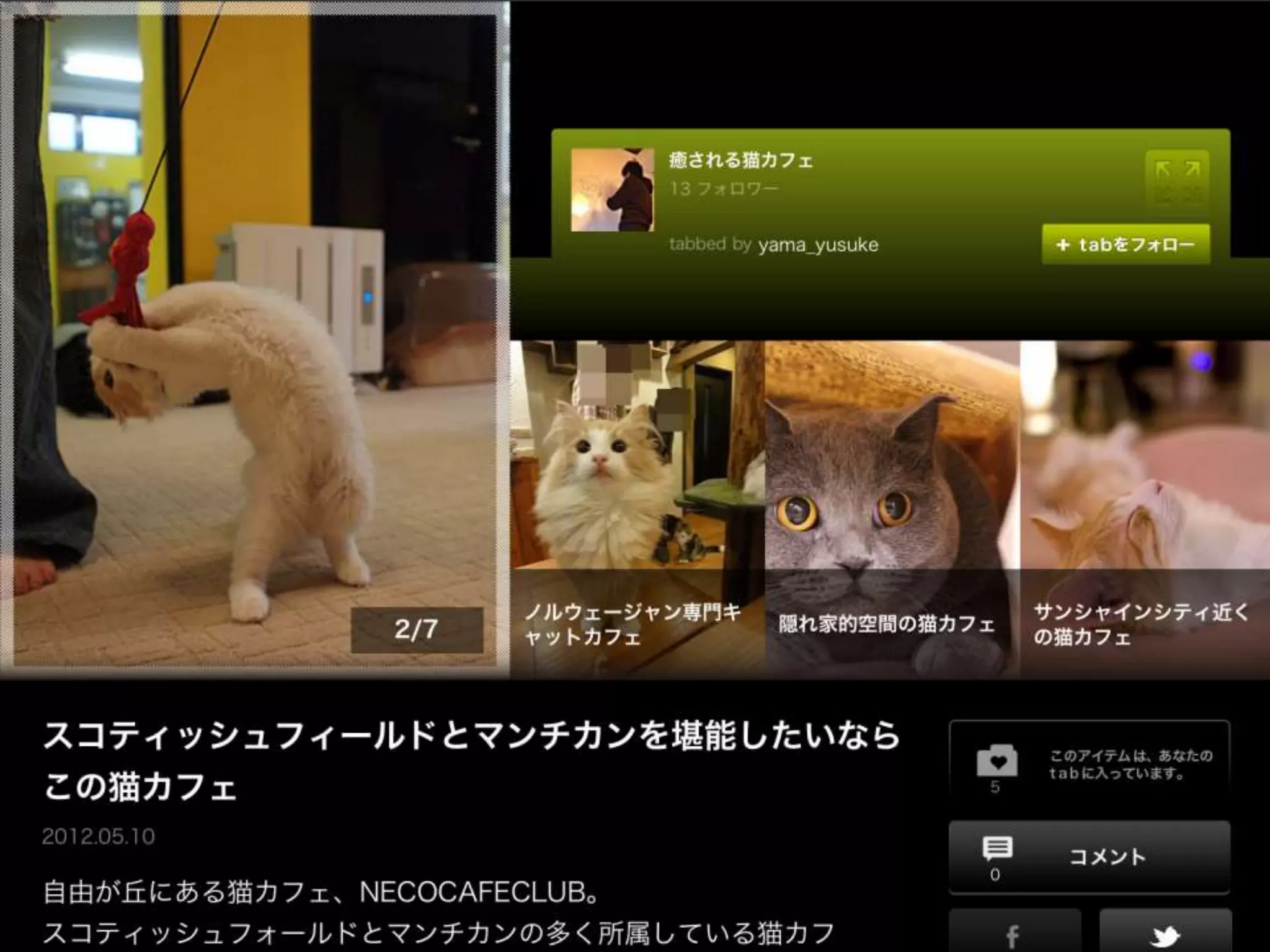 猫に癒される癒しスポット
 