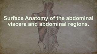Surface Anatomy of the abdominal
viscera and abdominal regions.
 