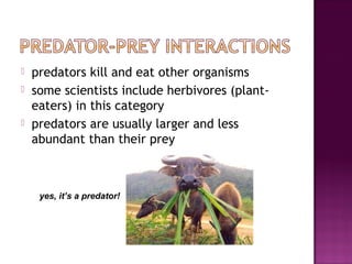 biology - community interactions | PPT