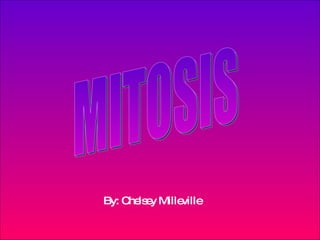 MITOSIS By: Chelsey Milleville 