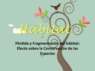 Hábitat Pérdida y Fragmentación del hábitat: Efecto sobre la Conservación de las Especies 