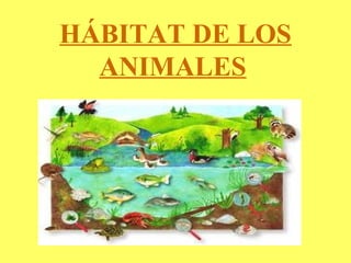 HÁBITAT DE LOS
  ANIMALES
 