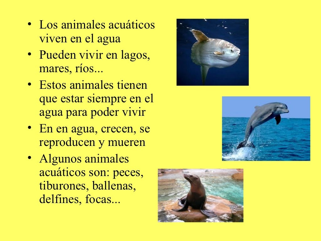 Hábitat de los animales