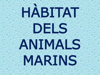 HÀBITAT
DELS
ANIMALS
MARINS
 
