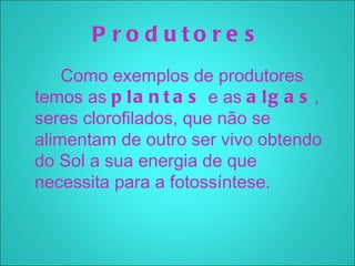 P ro d uto re s
    Como exemplos de produtores
temos as p l a n t a s  e as a l g a s ,
seres clorofilados, que não se
alimentam de outro ser vivo obtendo
do Sol a sua energia de que
necessita para a fotossíntese.
 