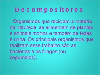 D e c o m p o s it o r e s
  Organismos que reciclam a matéria
na natureza, se alimentam de plantas
e animais mortos e também de fezes
e urina. Os principais organismos que
realizam esse trabalho são as
bactérias e os fungos (ou
cogumelos). 
 