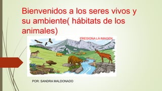 Bienvenidos a los seres vivos y
su ambiente( hábitats de los
animales)
PRESIONA LA IMAGEN
POR: SANDRA MALDONADO
 