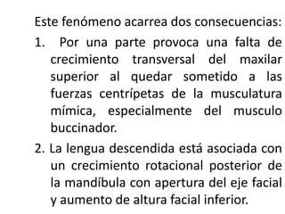 Este fenómeno acarrea dos consecuencias:
1. Por una parte provoca una falta de
crecimiento transversal del maxilar
superior al quedar sometido a las
fuerzas centrípetas de la musculatura
mímica, especialmente del musculo
buccinador.
2. La lengua descendida está asociada con
un crecimiento rotacional posterior de
la mandíbula con apertura del eje facial
y aumento de altura facial inferior.
 